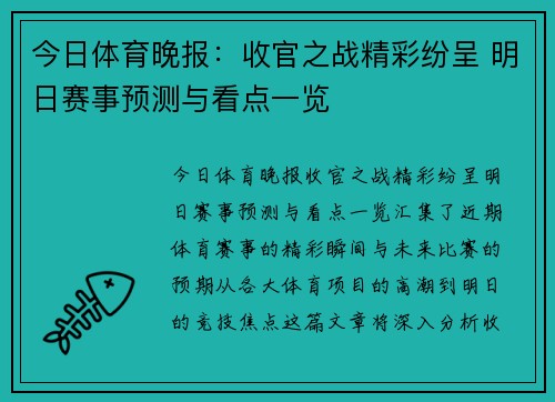 今日体育晚报：收官之战精彩纷呈 明日赛事预测与看点一览