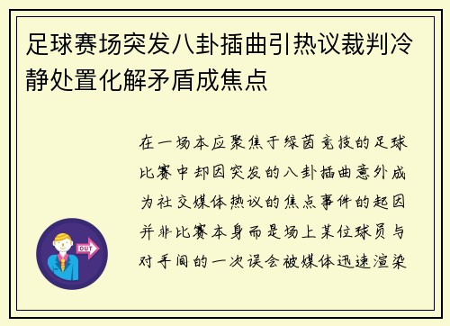 足球赛场突发八卦插曲引热议裁判冷静处置化解矛盾成焦点